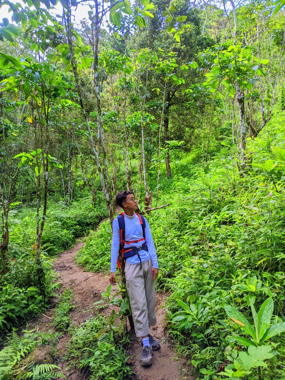 Muhammad Alif AL Faqih